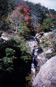 Shenandoah