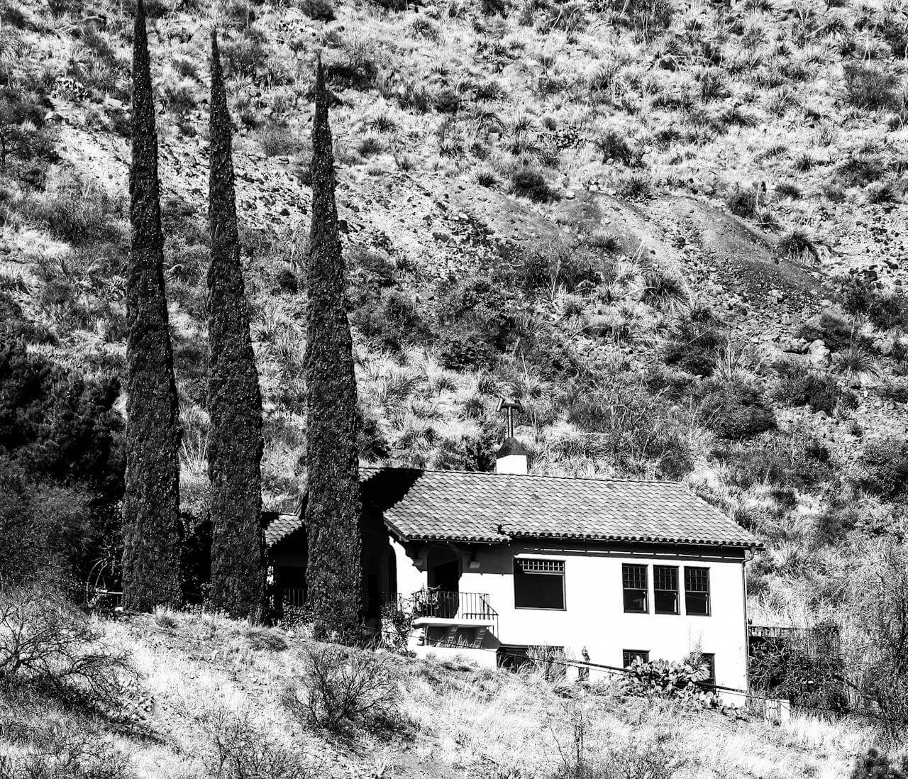 black and white imae of a house in the woods