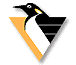 Pittsburgh Penguins