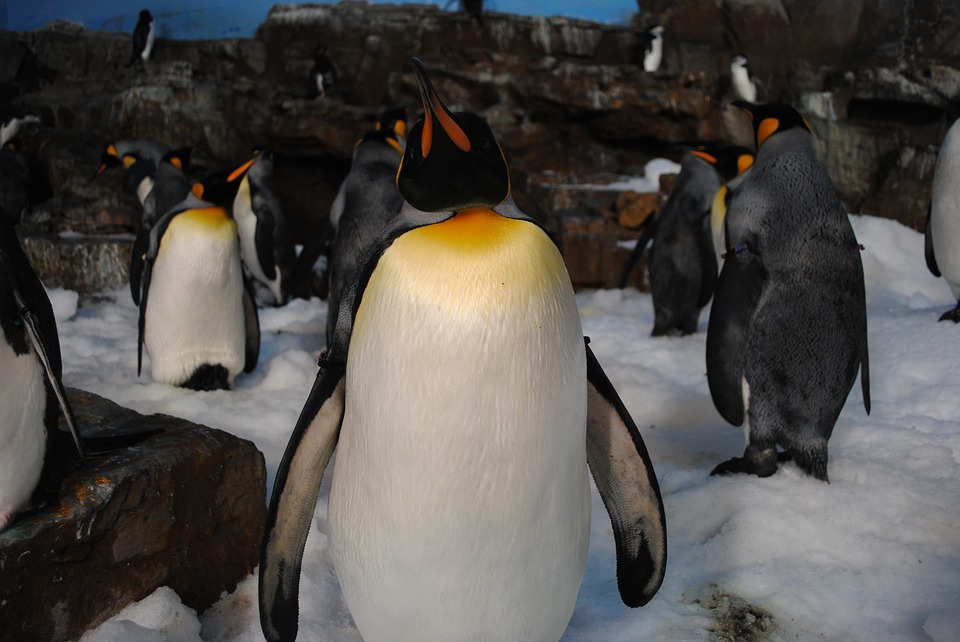Seaworld San Antonio