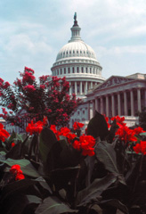 United States Capitol